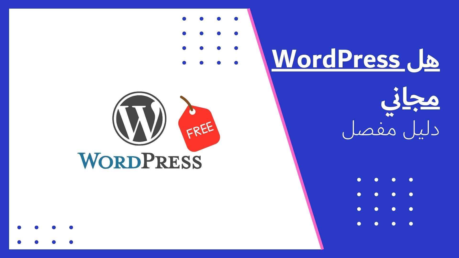 هل WordPress مجاني